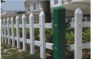 �o�ھW�S�҃r��